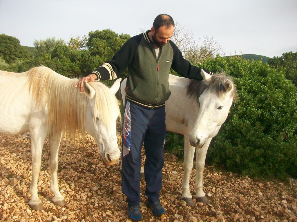 Volímai Andreas Katsaros Villas מראה חיצוני תמונה